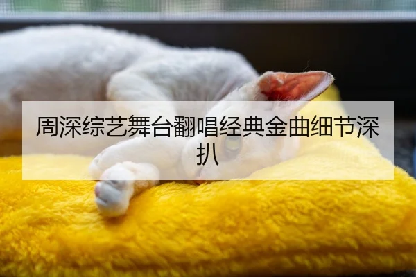 周深综艺舞台翻唱经典金曲细节深扒